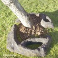 /album/piedras-y-mas-piedras/alca-jpg/