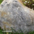 /album/piedras-y-mas-piedras/roca4-jpg1/