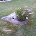 /album/piedras-y-mas-piedras/rocs2-jpg/