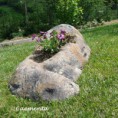 /album/piedras-y-mas-piedras/roca-jpg1/