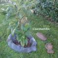 /album/piedras-y-mas-piedras/alc3-jpg/