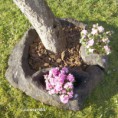 /album/piedras-y-mas-piedras/alcc3-jpg/